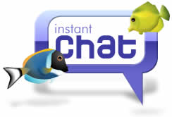 Live Chat With Us
